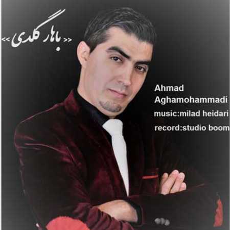 احمد آقامحمدی باهار گلدی
